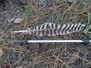 photo thumbnail #9