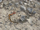 photo thumbnail #5