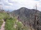 photo thumbnail #7
