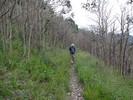photo thumbnail #10