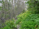 photo thumbnail #12