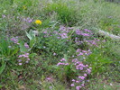photo thumbnail #14
