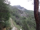 photo thumbnail #7