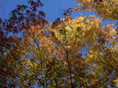 photo thumbnail #13