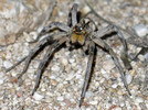 photo thumbnail #9