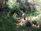 photo thumbnail #1