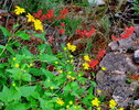 photo thumbnail #8