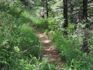 photo thumbnail #10