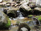 photo thumbnail #14