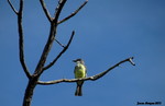photo thumbnail #12