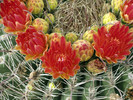 photo thumbnail #4