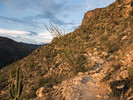 photo thumbnail #2