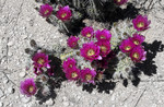 photo thumbnail #13
