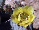 photo thumbnail #14