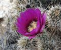 photo thumbnail #15