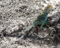 photo thumbnail #10