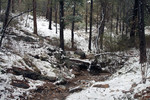 photo thumbnail #8
