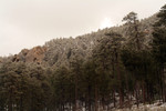 photo thumbnail #10