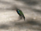 photo thumbnail #10
