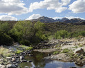 2013-05-06 :2: Sabino Dam :: Timknorr