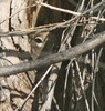 photo thumbnail #15