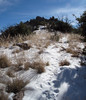 photo thumbnail #13