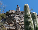photo thumbnail #4