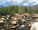 photo thumbnail #6