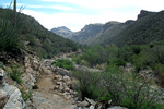 photo thumbnail #9