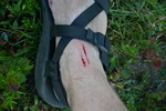 photo thumbnail #10