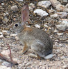 photo thumbnail #14