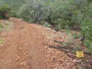 photo thumbnail #8