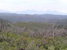 photo thumbnail #12