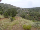 photo thumbnail #13