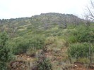 photo thumbnail #14