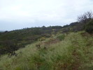 photo thumbnail #15