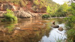 photo thumbnail #5