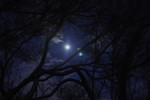 photo thumbnail #1