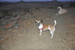 photo thumbnail #4