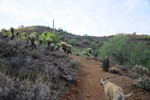 photo thumbnail #7
