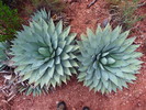 photo thumbnail #3