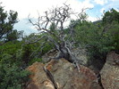 photo thumbnail #4