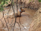 photo thumbnail #5