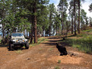 photo thumbnail #13