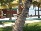 photo thumbnail #13