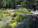 photo thumbnail #10