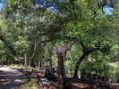 photo thumbnail #11