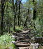 photo thumbnail #12