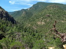 photo thumbnail #14