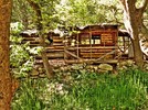photo thumbnail #3